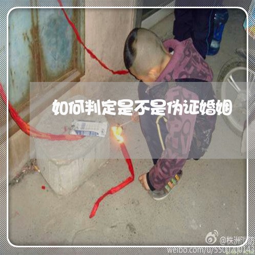 如何判定是不是伪证婚姻/2023081404947