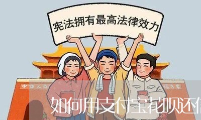 如何用支付宝花呗还信用卡/2023072231827