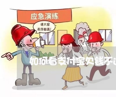 如何看支付宝欠钱不还没有/2023121007157