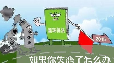 如果你失恋了怎么办/2023110628280