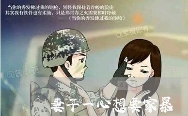 妻子一心想要家暴/2023101531491