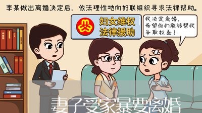 妻子受家暴要离婚/2023092338058