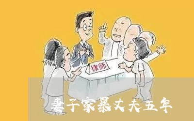 妻子家暴丈夫五年/2023101030593