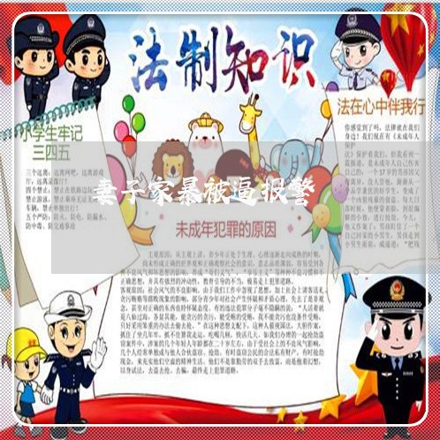 妻子家暴被逼报警/2023101273825