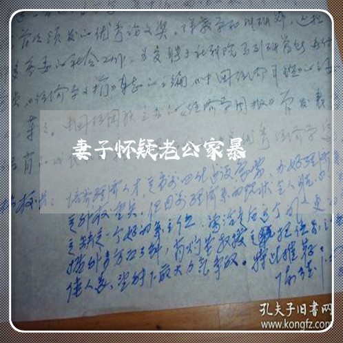 妻子怀疑老公家暴/2023101142624