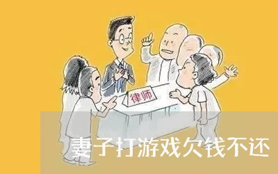 妻子打游戏欠钱不还/2023111562824