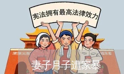 妻子月子遭家暴/2023091427283