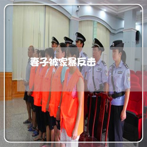 妻子被家暴反击/2023091172894