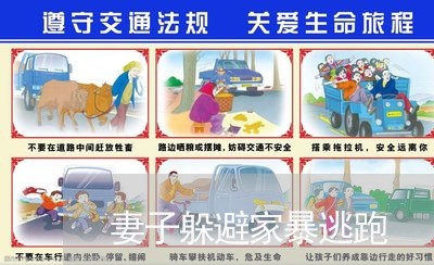 妻子躲避家暴逃跑/2023100995817