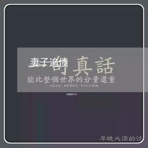 妻子追债/2023120630682