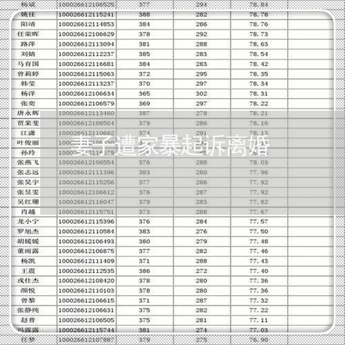 妻子遭家暴起诉离婚/2023110543616