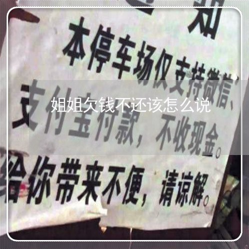 姐姐欠钱不还该怎么说/2023112451494