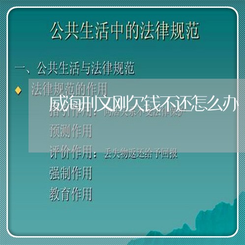 威海刑文刚欠钱不还怎么办/2023110818160