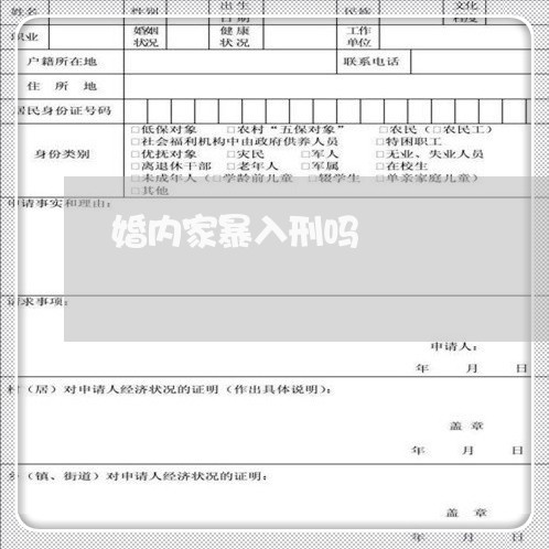 婚内家暴入刑吗/2023090630694