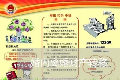 婚内离婚财产转移/2023093035736