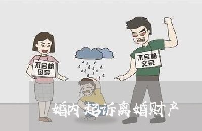 婚内起诉离婚财产/2023100203927