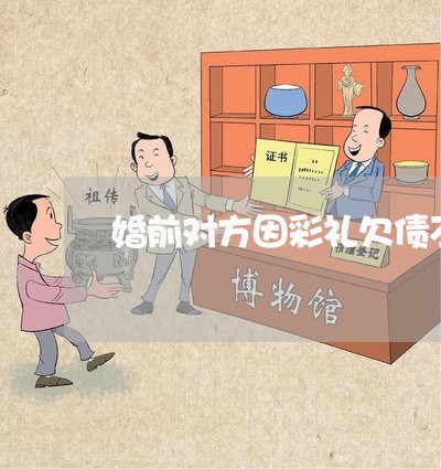 婚前对方因彩礼欠债不还/2023111073612