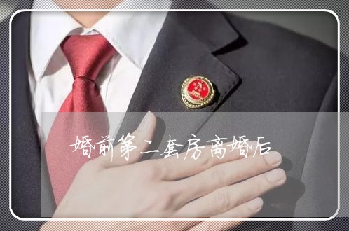 婚前第二套房离婚后/2023110269403