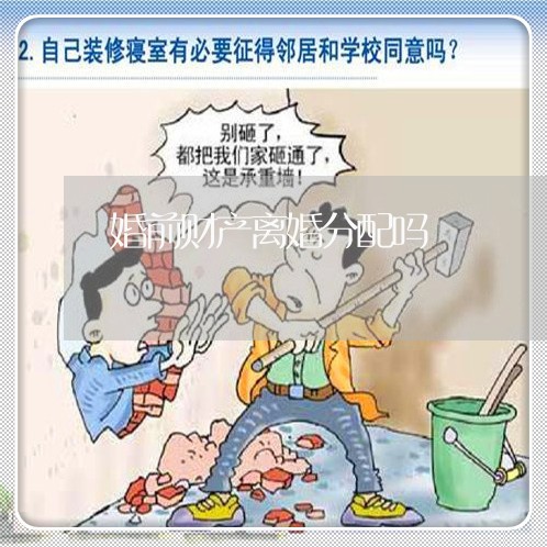 婚前财产离婚分配吗/2023110970492