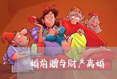 婚前赠与财产离婚/2023093071602