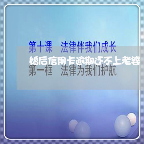 婚后信用卡逾期还不上老婆/2023100886293