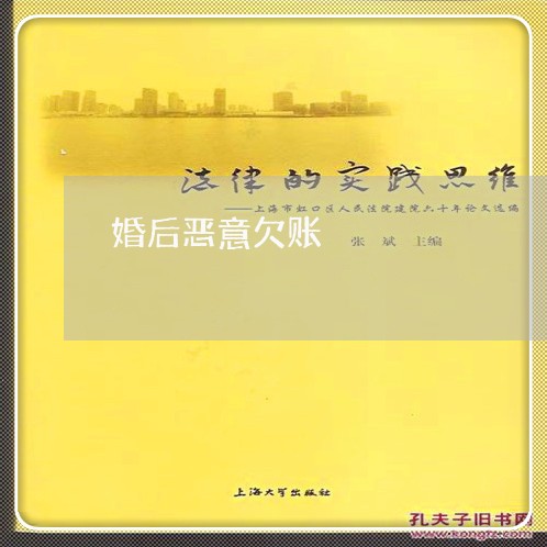 婚后恶意欠账/2023100615948