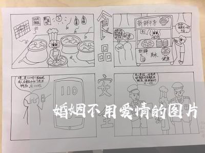 婚姻不用爱情的图片/2023112816037