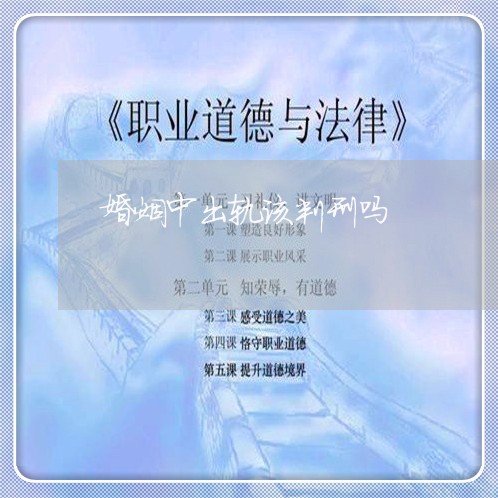 婚姻中出轨该判刑吗/2023111040260