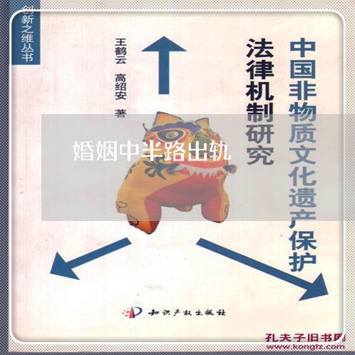 婚姻中半路出轨/2023090607028