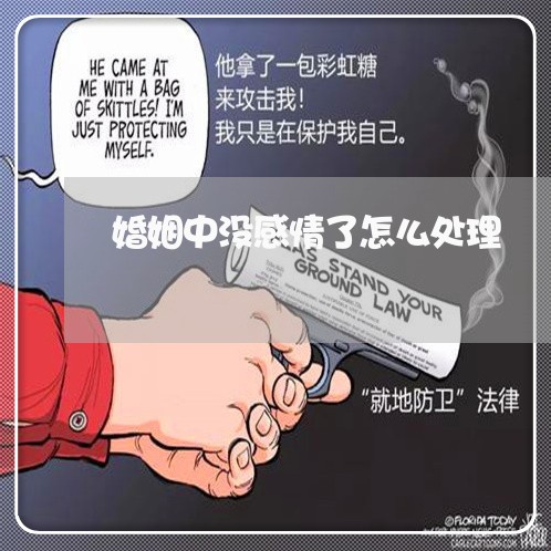 婚姻中没感情了怎么处理/2023112364816