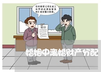 婚姻中离婚财产分配/2023111000360