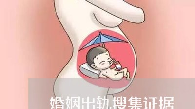 婚姻出轨搜集证据/2023100330494