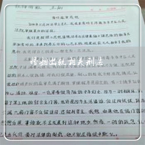 婚姻出轨相关刑法/2023100313160