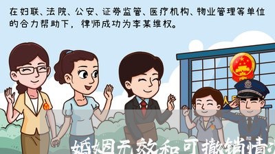 婚姻无效和可撤销情况/2023112564816