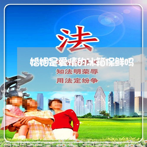 婚姻是爱情的冰箱保鲜吗/2023112492794