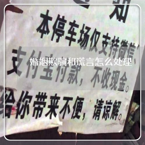 婚姻欺骗和谎言怎么处理/2023112348359