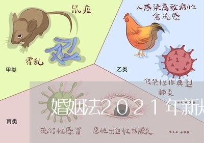 婚姻法2021年新规定买房子/2023112374138