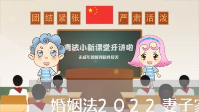 婚姻法2022妻子家暴/2023112307048