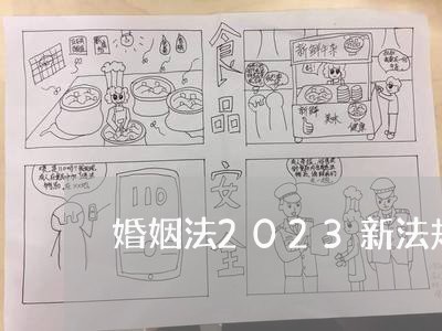 婚姻法2023新法规定未婚生育/2023112308037