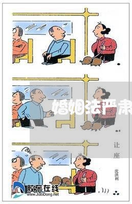 婚姻法严肃性强吗为什么/2023112432838