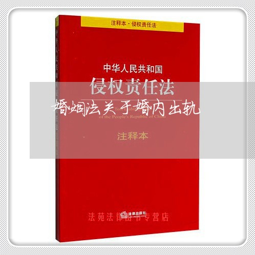 婚姻法关于婚内出轨/2023111005847