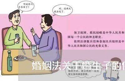 婚姻法关于婚生子的保护/2023112397050