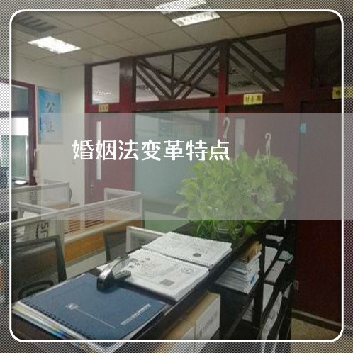 婚姻法变革特点/2023112417462