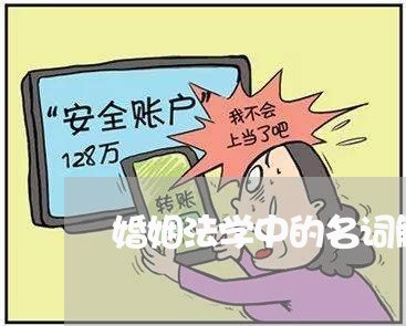 婚姻法学中的名词解释/2023112443719