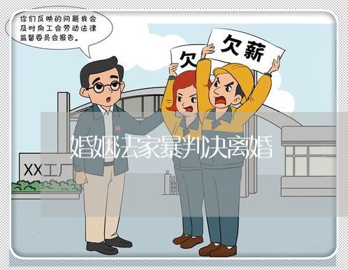 婚姻法家暴判决离婚/2023111042581