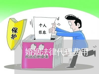 婚姻法律代理费用/2023112372725