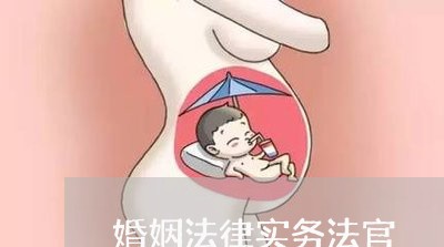 婚姻法律实务法官/2023112403050