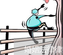 婚姻法律律师团队/2023081325929