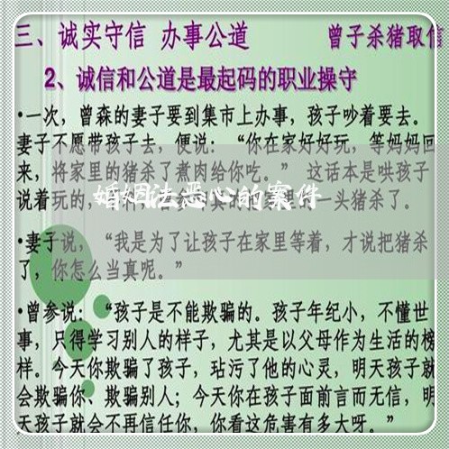 婚姻法恶心的案件/2023081337293