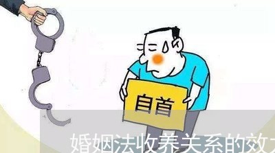 婚姻法收养关系的效力/2023081309425